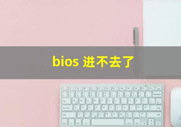 bios 进不去了